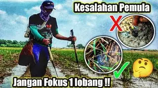 Mata Harus Jeli! Kunci Mengetahui Pergerakan Belut Ketika di setrum!