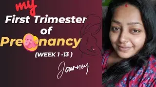 🔷Pregnancy প্রথম তিন মাস |My honest experience|Fetal Development🐣| Early TVS Scan l Bengali✅
