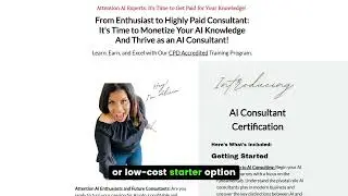 Alicia Lyttle's AI Consultant Certification Review