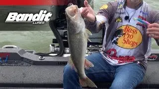 Bandit Generator | How To Catch Walleye In Dirty Water
