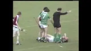 Galway vs Limerick All-Ireland Hurling Final 1980