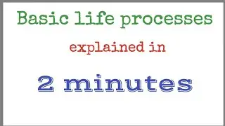 Basic life processes explained