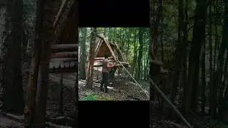 building an amazing cabin saspynded between tow tree #bolding #bushcraft #treehouselife