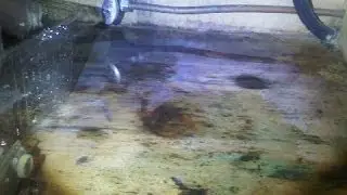 180 Carl kitchen sink leak