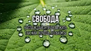 ДОВЕРИЕ: Верь себе, ты знаешь больше, чем думаешь