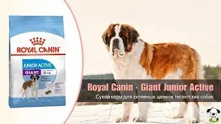 Сухой корм для активных щенков гигантских пород собак &middot; Royal Canin Giant Junior Active