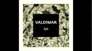 Valdimar - Sýn (Official audio)