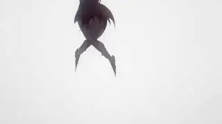 Absolute d&uacute;o op 1