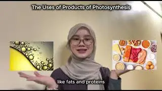 STB1083 Biochemistry Assignment 2 G2/G4: Photosynthesis and Energy Conversion