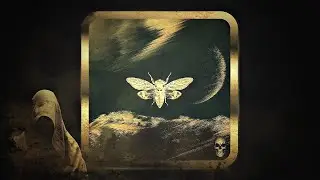 Proxxy (BR) &ndash; Acid Moon (Original Mix) [Ciccada]