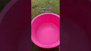 Life Hack | Equestrian | Mother Of Unicorns UK 🦄