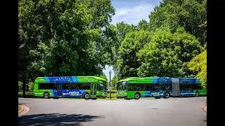 Celebrating 1 Year of Electric Buses