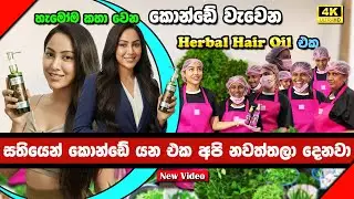 මැජික් 