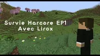 SURVIE HARDCORE #1 : Maison, Portail du Nether et Tour de Pillards !