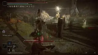 ELDEN RING Shadow of the erdtree | Jori, Elder Inquisitor | No Damage (NG+7)