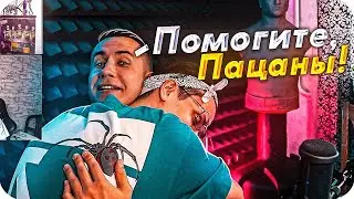 БУСТЕР ПРОЩАЕТСЯ НА СТРИМЕ С ЛИКСОМ | БУСТЕР ОБНИМАЕТ ДИМУ ЛИКСА | TWITCH CONTENT
