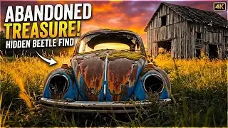 1978 Volkswagen Beetle Barn Find: Total Restoration Journey