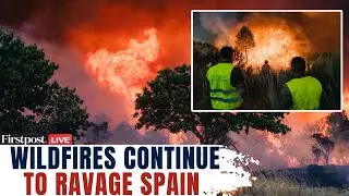 LIVE: Spain Forest Fires Enter Week 2, Death Toll Rises to 4 | Over 8 Lakh Acres Area Destroyed