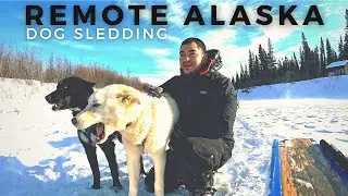 Alaska&rsquo;s Remote Dog Sledding- Yukon River