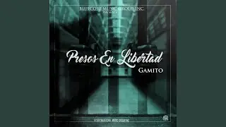 Presos en Libertad