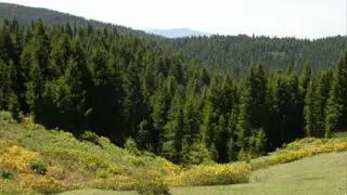 yokuşdibi belediyesi tanıtım videosu