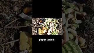 Surprising Compost Ingredients You Never Knew