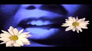 Primal Scream -  Don't Fight It, Feel It (Full Video)