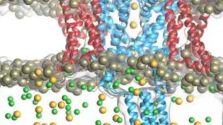Pulsed Electric Fields Can Create Pores in the Voltage Sensors of Voltage-Gated Ion Channels