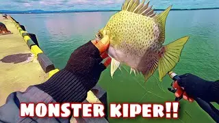 MANCING KIPER MONSTER // JORANKU SAMPAI TUMBANG TIDAK MAMPU MENAHAN KEKUATANNYA!!!