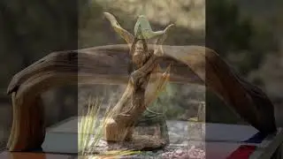 Earth Spirit Designs - Art from nature's materials