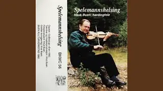 Siklebekken, Springar Etter Myllarguten (Kjelde: Anders Buen)