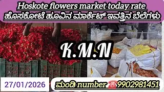 #hoskotebiryani    #flowers market today rate 27/01/2026 ಹೊಸಕೋಟೆ ಹೂವಿನ ಮಾರ್ಕೆಟ್&zwnj; ಇವತ್ತಿನ ಬೆಲೆಗಳು.💛❤️