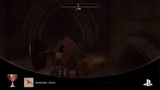 The Elder Scrolls IV: Oblivion Remastered_20260118170140