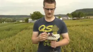 Gelbrost