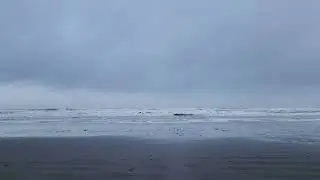 Kalaloch Beach - November