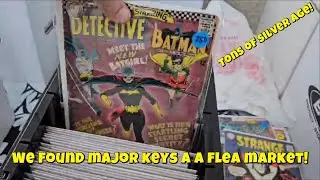 We found a COMIC BOOK JACKPOT at a FLEA MARKET!