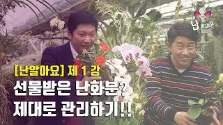 '난 알아요' 제 1강 - 선물받은 난화분 관리하기