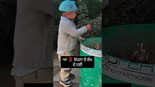 #sidhumoosewala #lilbaby #sidhu #viral #shortvideo #trendingshorts #trending #trend #viralshorts #uk