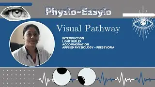 Special Senses=Visual Pathway