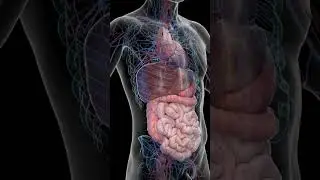 Ai chips mimicking your Nervous systme????#facts #science #technology #ai #breakthroughai