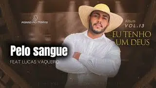 FORRÓ NO MONTE VOL 13 ( Pelo Sangue )