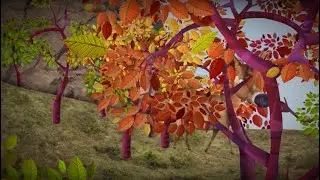 Bosque de Lengas | CANCIONES DEL BOSQUE | 07. Manto de colores