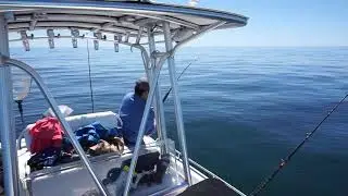 Triple - Grouper - Destin 2019