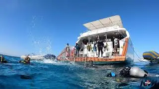 Diving Egypt 2024 II