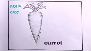 How To Draw Carrot Plant Easy/Carrot Plant Drawing