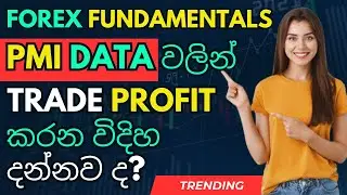 FOREX FUNDAMENTAL NEWS TRADING STRATEGIES OF MANUFACTURING PMI | FOREX BEGINNERS | FOREX SINHALA