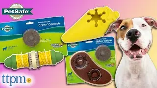 PetSafe Frosty Cone, Busy Buddy Cravin' Corncob & Slab o' Sirloin Treat Dispensing Dog Toys Review!