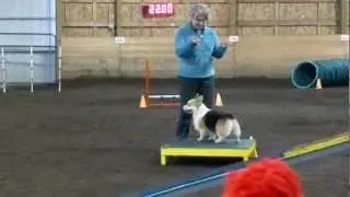 Bella Excellent Standard, SnoKing Trial