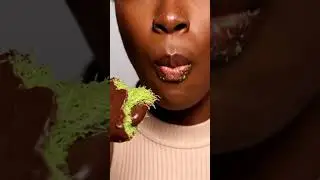 두바이쫀득쿠키먹방#DubaiChewyCookieMukbang #DubaiDessert #ChewyCookie #FoodASMR #DessertMukbanR #デザートムクバン #ドバ
