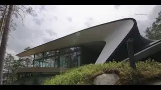 Wave | Polar Life Haus